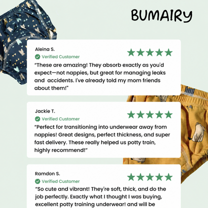 Potty Training Underwear Reusable Absorbent Toddler Pants