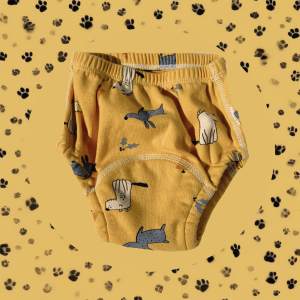 https://cdn.shopify.com/s/files/1/0684/6149/4493/files/Frame_675-min_10f1904a-a7f5-46f4-aaca-5ca6c3d8aefb.png?v=1776808832